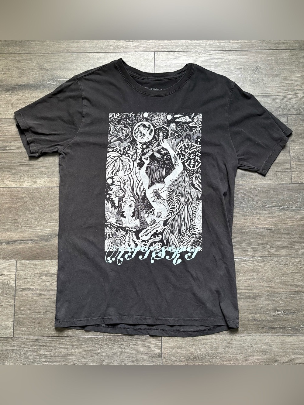 MITSKI 2024 Black Short Sleeve Tour T-Shirt The Land Is Inhospitable Size Medium